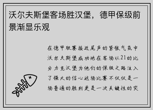 沃尔夫斯堡客场胜汉堡，德甲保级前景渐显乐观